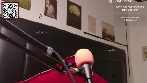 Snapshot of s_a_t_u_r_n chatting on February 2025 04:07:01 AM ST online show from February 2025 04:07:01 AM