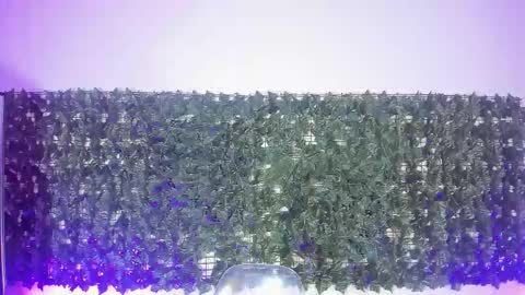 Sabina Merchetti online show from March 2026 12:26:01 AM