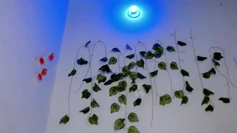 SABRI online show from April 2026 07:17:02 PM