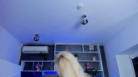 Sabrina online show from March 2026 05:29:02 AM