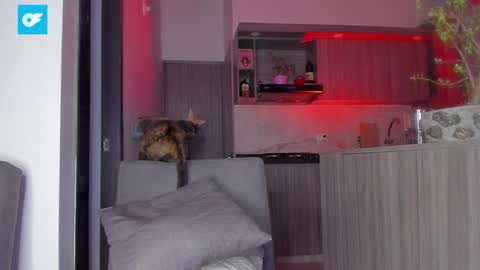 Snapshot of sag_1998 chatting on January 2025 01:50:01 AM Sag online show from January 2025 01:50:01 AM