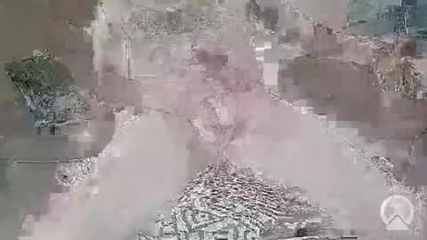 saige5558 online show from February 2026 03:07:01 AM