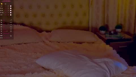 Snapshot of saillise chatting on December 2024 11:14:01 PM Sofia online show from December 2024 11:14:01 PM