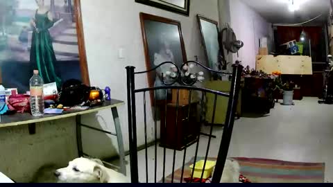 Snapshot of sailor_ruby7 chatting on November 2025 12:16:02 AM ruby chocoholic cakeholic coffeeholic cookieholic online show from November 2025 12:16:02 AM