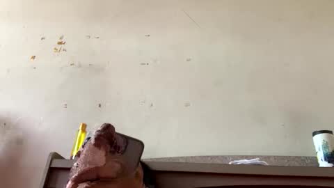 Snapshot of sainiboy9999 chatting on October 2025 04:35:02 AM sainiboy9999 online show from October 2025 04:35:02 AM