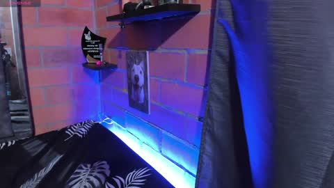 sainix_ online show from December 2024 02:21:01 AM