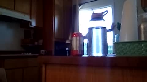 salis1981 online show from February 2026 07:09:02 PM