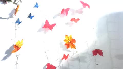 SALVAJE online show from December 2024 02:49:02 AM