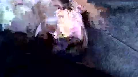 sam122227 online show from February 2025 09:08:01 AM
