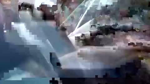 Snapshot of sam223382879 chatting on December 2024 03:28:01 PM sam223382879 online show from December 2024 03:28:01 PM