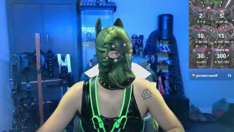 samael069 online show from December 2024 04:28:02 AM