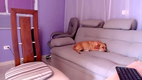 sam online show from December 2024 04:31:01 PM