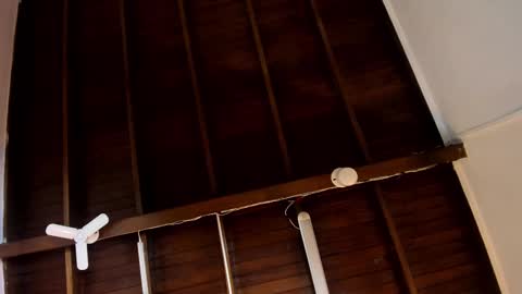 Alejandra  online show from October 2025 10:00:02 AM