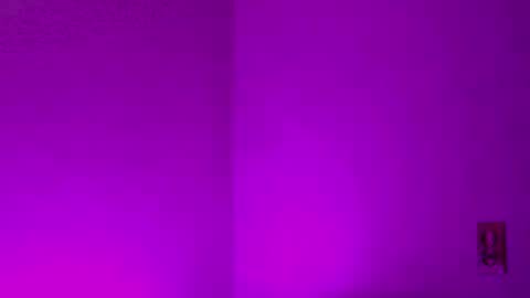 Snapshot of samdemia chatting on December 2024 02:58:01 AM Sam Demia online show from December 2024 02:58:01 AM