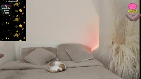 sammy_jhonson25 online show from March 2026 11:05:02 PM