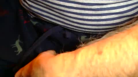 Sam online show from January 2026 11:50:01 PM