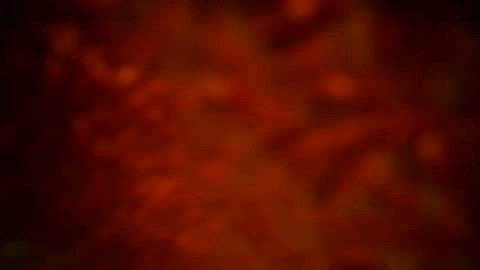 samueltal online show from September 2025 12:11:01 AM