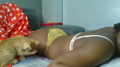 sapgaal online show from January 2026 02:25:02 AM