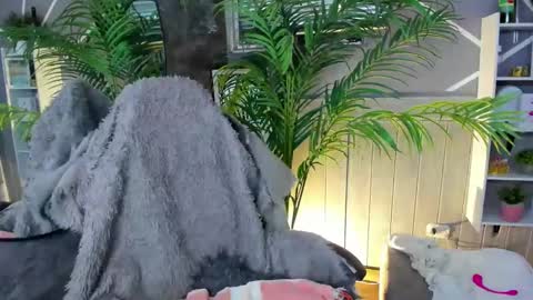 Snapshot of saraandsofi02 chatting on December 2024 09:42:01 AM sofia gomez420 online show from December 2024 09:42:01 AM