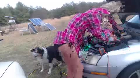 Snapshot of sarahhampton chatting on February 2025 07:31:02 PM CdSissySarah online show from February 2025 07:31:02 PM