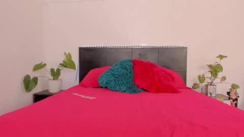 Girl next door online show from January 2025 09:08:01 PM