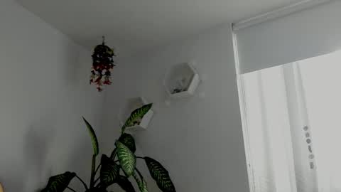 Saray  online show from February 2026 10:46:02 PM