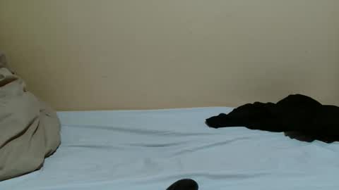 sassybabe20 online show from February 2026 01:09:02 PM