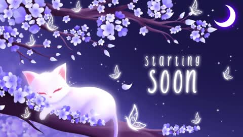 Snapshot of sassykittyn chatting on January 2025 06:11:02 AM Sassy Sami Kittyn online show from January 2025 06:11:02 AM