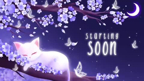 Snapshot of sassykittyn chatting on March 2025 05:11:01 AM Sassy Sami Kittyn online show from March 2025 05:11:01 AM