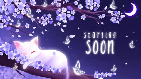 Snapshot of sassykittyn chatting on March 2025 05:05:02 AM Sassy Sami Kittyn online show from March 2025 05:05:02 AM