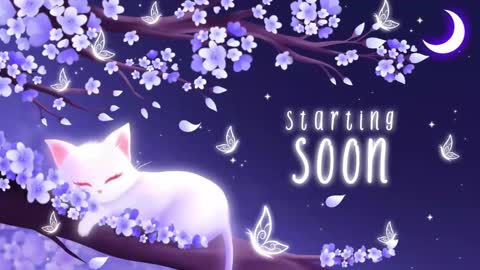 Snapshot of sassykittyn chatting on September 2025 05:31:02 AM Sassy Sami Kittyn online show from September 2025 05:31:02 AM