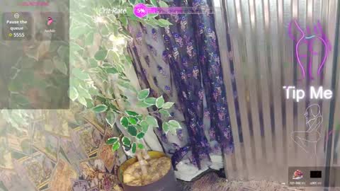 sassylatin45 online show from January 2025 01:21:02 AM