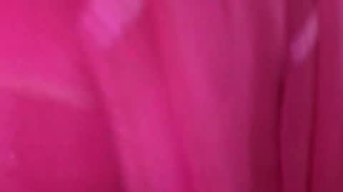 Anjali online show from March 2026 05:02:01 AM