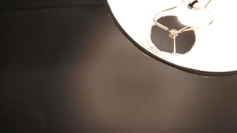 sayhi2mylilguy online show from February 2025 10:50:02 AM