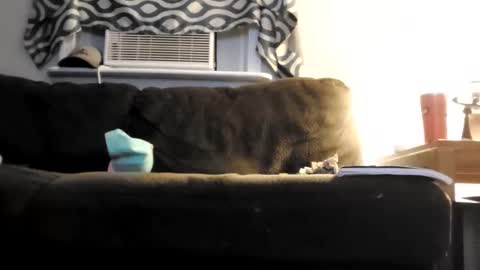 sayhi2mylilguy online show from February 2025 05:41:01 AM