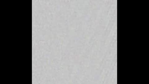 Venus online show from March 2025 01:38:02 PM