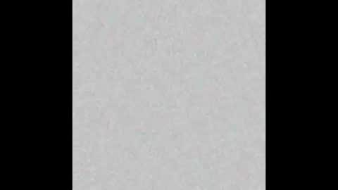 Venus online show from October 2025 12:33:01 PM