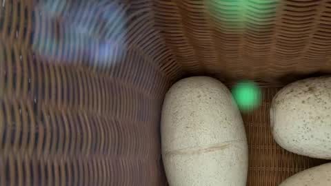 Snapshot of scarlajade chatting on May 2026 02:51:02 AM scarlajade online show from May 2026 02:51:02 AM