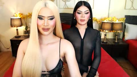 Scarlet online show from March 2026 08:26:33 AM