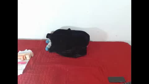 Scarletfox Fox online show from February 2026 07:31:02 PM