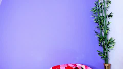 Denis online show from January 2025 02:08:02 PM