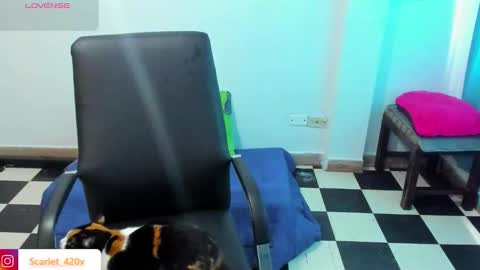 Scarlett online show from March 2026 08:57:02 PM