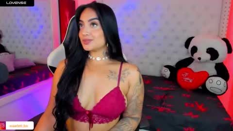 Kim online show from November 2025 05:42:02 AM