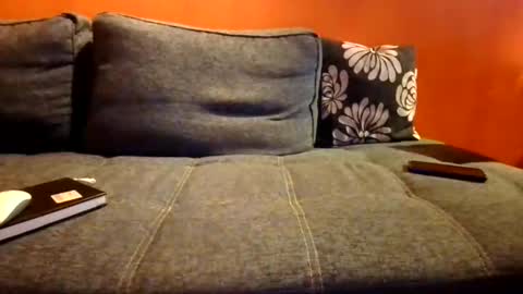 Snapshot of schmuhbaer1 chatting on December 2025 07:58:02 AM schmuhbaer1 online show from December 2025 07:58:02 AM