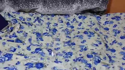 Its Lilly online show from January 2025 07:03:01 PM