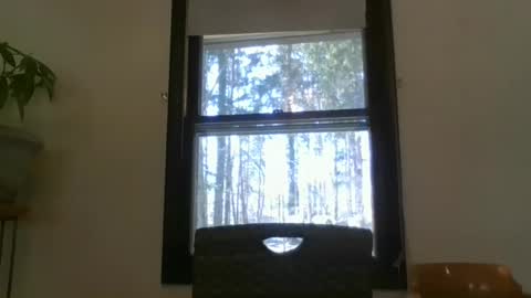 scottpbi52 online show from March 2025 07:07:02 PM