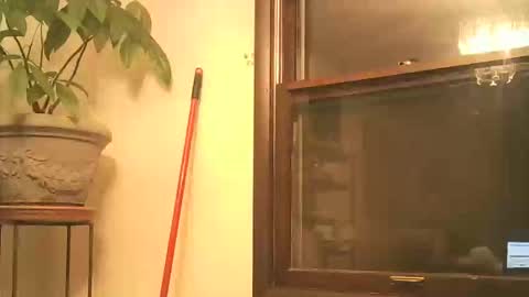 scottpbi52 online show from September 2025 03:45:02 AM