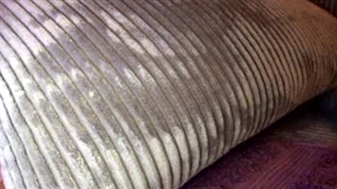 Snapshot of scotty2hotty46_ chatting on February 2026 05:41:02 AM scotty2hotty46_ online show from February 2026 05:41:02 AM