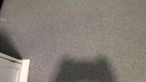 scottyc48 online show from November 2025 02:39:02 PM