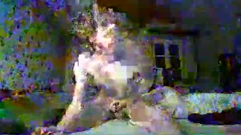 Snapshot of scratt67 chatting on November 2025 03:38:02 AM scratt67 online show from November 2025 03:38:02 AM